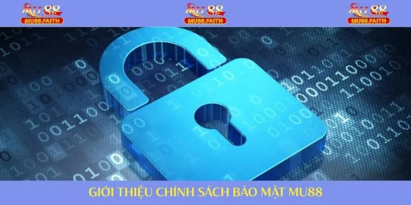 Chính sách bảo mật là tài liệu quan trọng tối ưu dữ liệu người dùng
