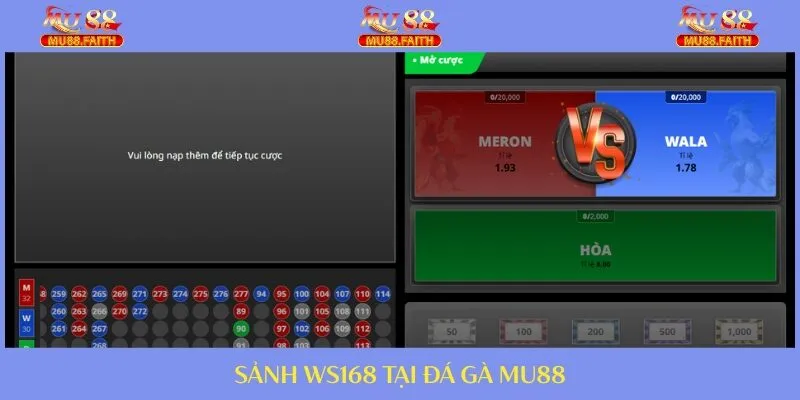 Đá gà cực chất với WS168