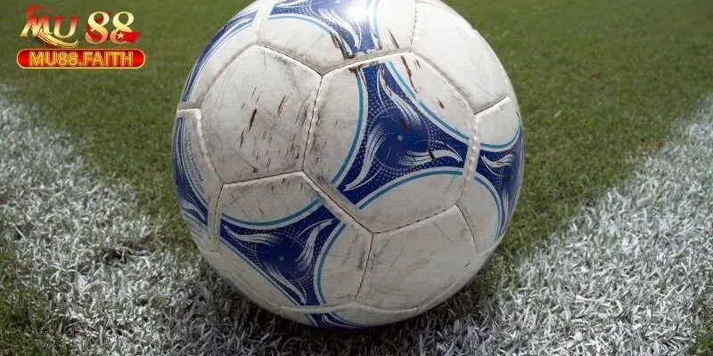 Lưu ý khi cược rung người chơi mới nên biết